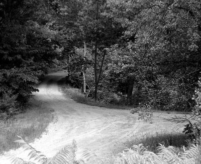 fork-in-the-road